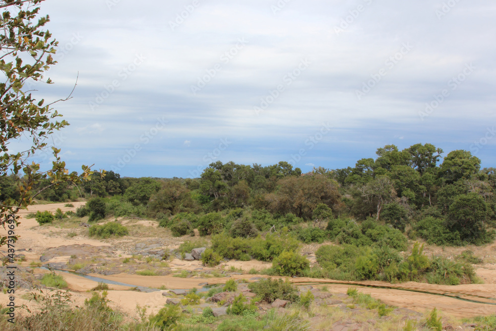 Timbavati River / Timbavati River /