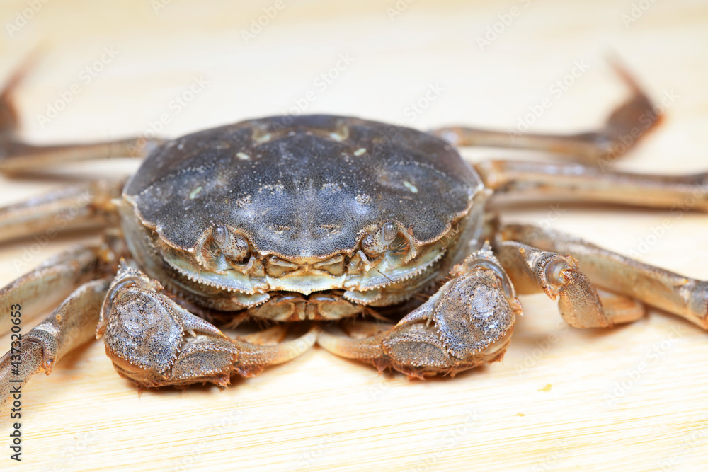 Fresh river crabs on the cutting board Fresh river crabs on the cutting board