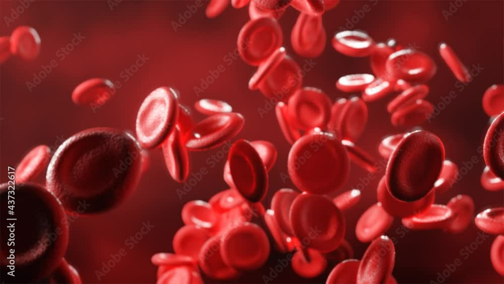 Red blood cells flowing in an artery. 3d video Red blood cells flowing in an artery. 3d video