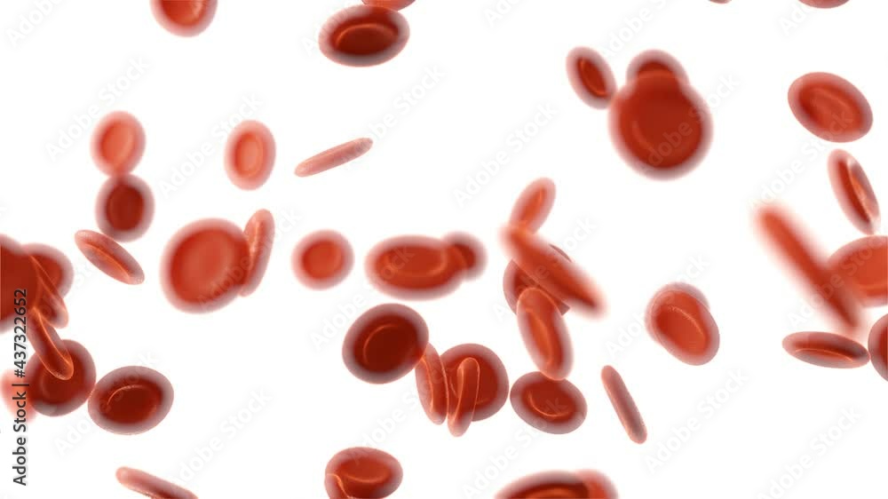 Red blood cells flowing in an artery. 3d video Red blood cells flowing in an artery. 3d video