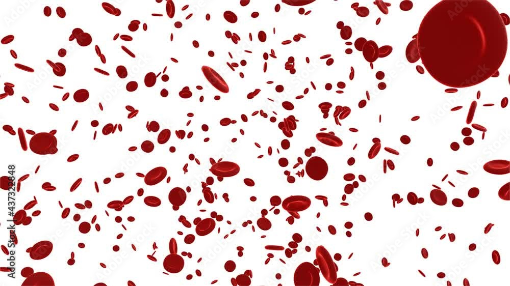 Red blood cells flowing in an artery. 3d video Red blood cells flowing in an artery. 3d video