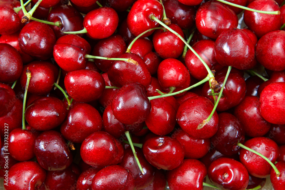 top view flat lay close up of fresh organic Bing Cherries with stems. Water drops on fruit. top view flat lay close up of fresh organic Bing Cherries with stems. Water drops on fruit.