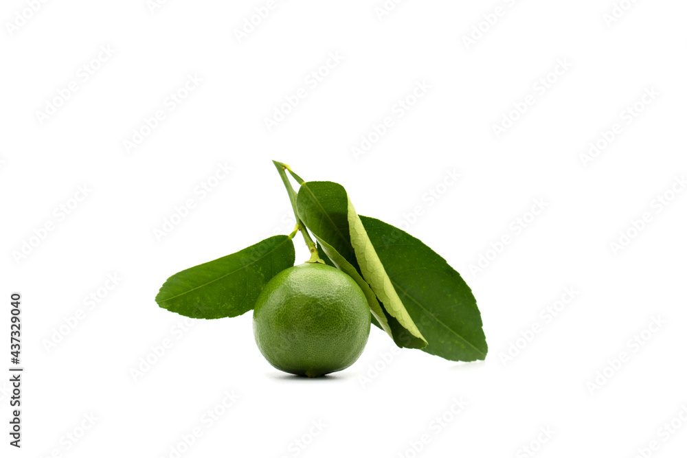 One day Lime with leafs isolated on white background. One day Lime with leafs isolated on white background.
