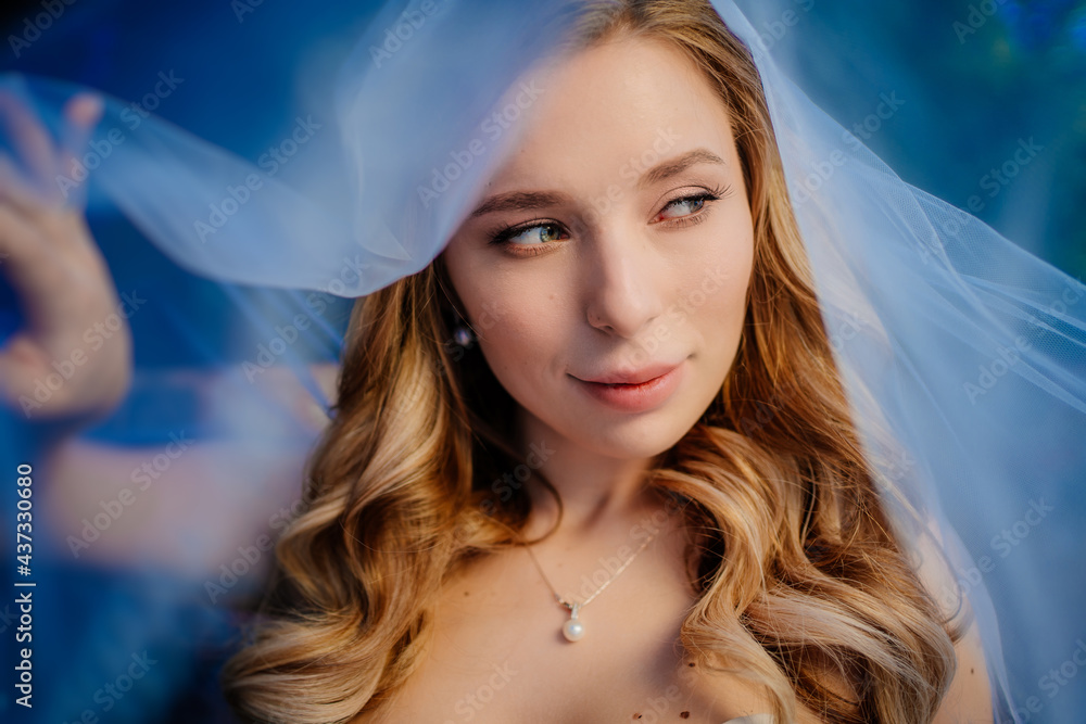 beautiful bride with long wavy hair under the veil. Wedding make-up. beautiful bride with long wavy hair under the veil. Wedding make-up.