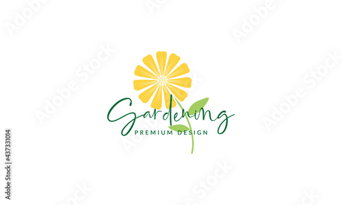 colorful yellow flower daisy logo symbol vector icon illustration graphic design