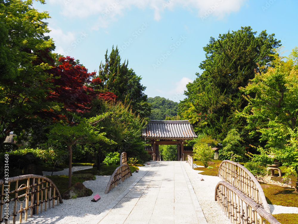 鎌倉　浄妙寺　庭園より山門を望む