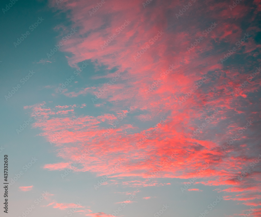 Pink clouds over blue sky at sunset