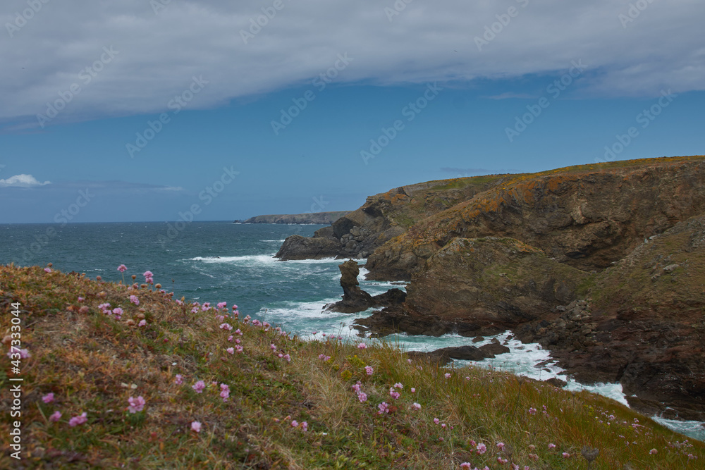Obraz premium pointe du skeul - belle-île