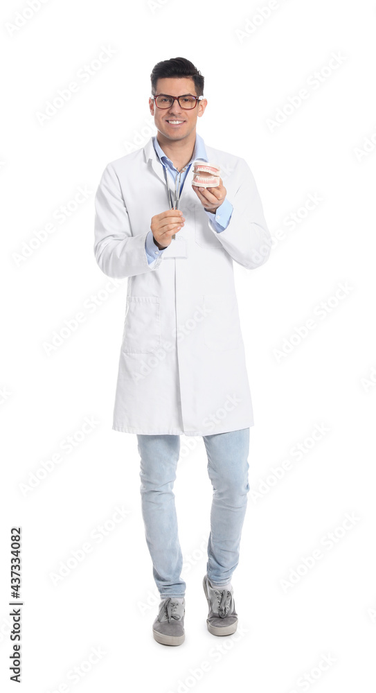 Male dentist with tools and jaw model on white background Male dentist with tools and jaw model on white background
