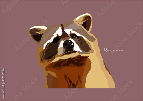 Vector Illustration of Raccoon, Common Raccoon photo