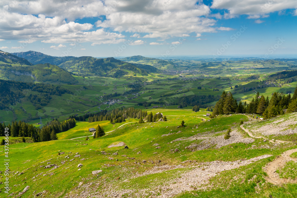 Fototapeta premium landscape in summer