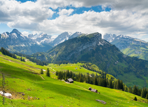 alpine meadow in the mountains