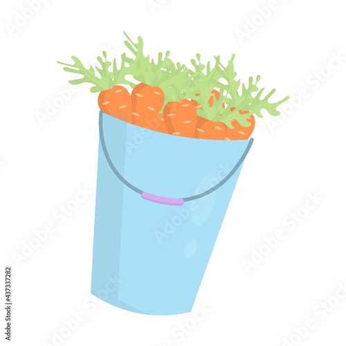 Bucket of carrots. Vector illustration decorative design