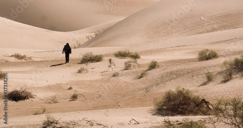 Beautiful cinematic wide landscape of man walking alone in sand dunes desert, Arizona