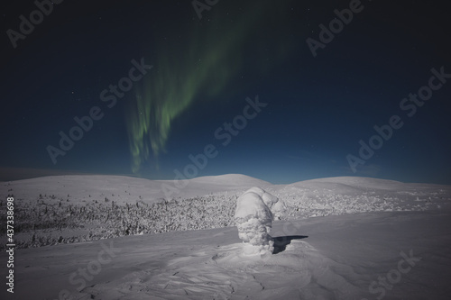 Northern lights climbing behind the mountains © MikkoEemeli