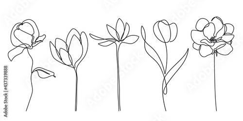 Vector Set of Hand Drawn, Line Art Flowers, Leaves, Plants. Continuous Line Flowers, Leaves. Art Floral Elements Set. Good for T-shirt and Wall Art Prints, Logos, Cosmetics. Minimalist Set Of Plants