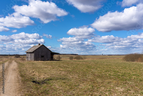 An old abandoned small wooden house in the field blue sky white clouds, barn or scary concept.