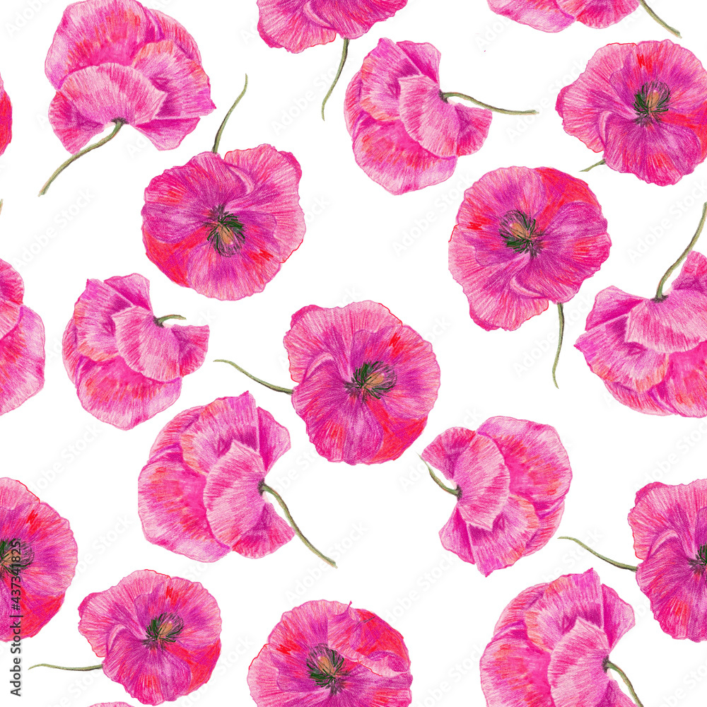 Pink poppies isolated on white background seamless pattern for all prints. Pencil drawing. Textured flowers. Pink poppies isolated on white background seamless pattern for all prints. Pencil drawing. Textured flowers.