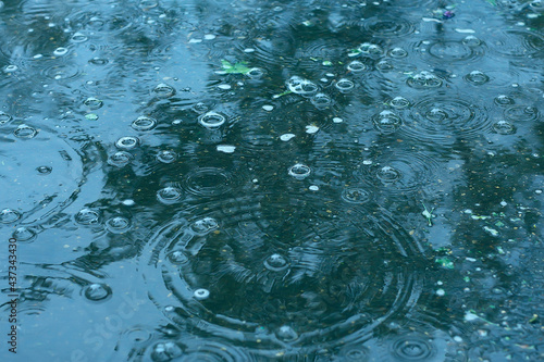 blue background puddle of rain / raindrops, circles on a puddle, bubbles in the water, the weather is autumn