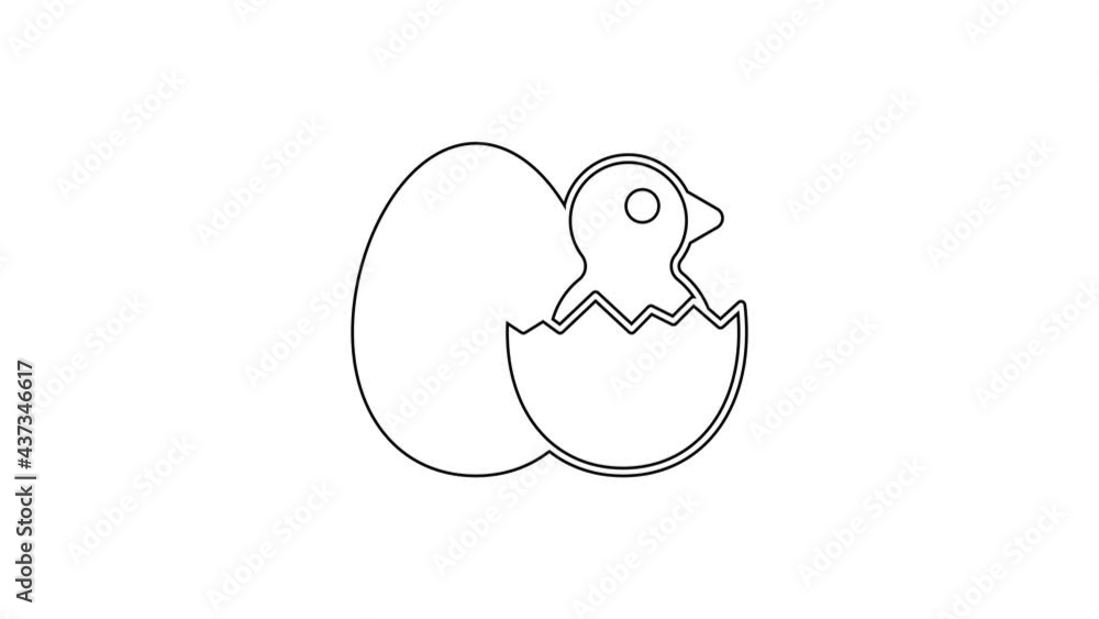 Black line Little chick in cracked egg icon isolated on white background. 4K Video motion graphic animation Black line Little chick in cracked egg icon isolated on white background. 4K Video motion graphic animation