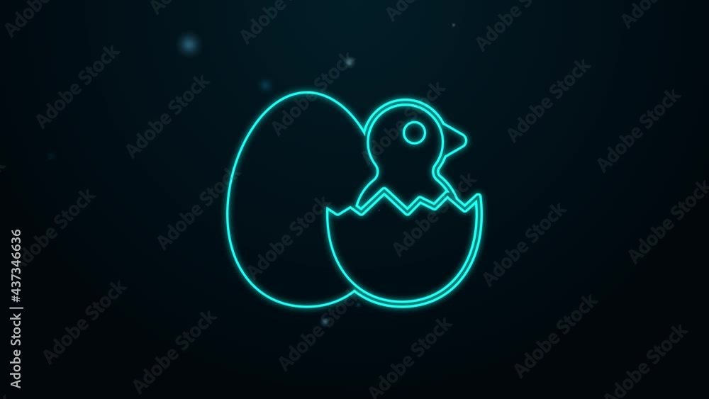 Glowing neon line Little chick in cracked egg icon isolated on black background. 4K Video motion graphic animation Glowing neon line Little chick in cracked egg icon isolated on black background. 4K Video motion graphic animation