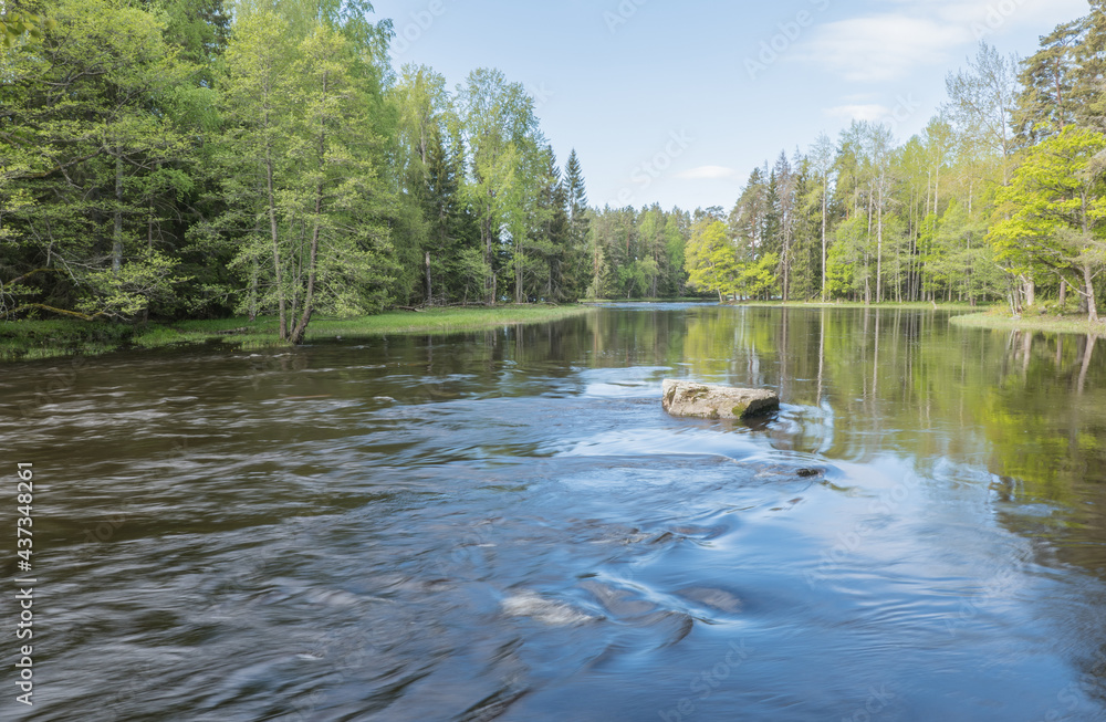 Swedish river and natural salmon area in spring. Farnebofjarden national park in north of Sweden. Swedish river and natural salmon area in spring. Farnebofjarden national park in north of Sweden.