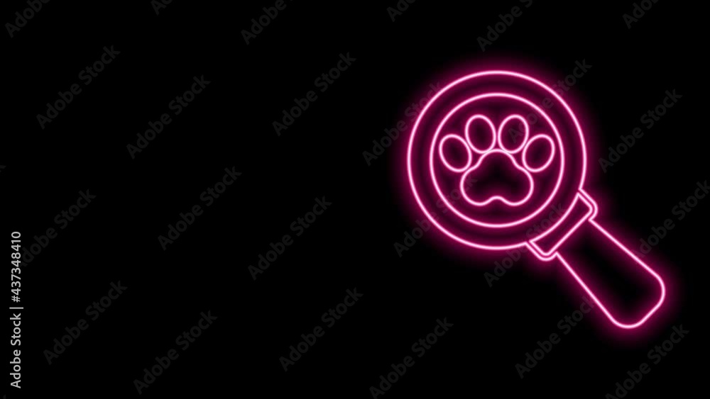 Glowing neon line Veterinary clinic symbol icon isolated on black background. Cross hospital sign. Stylized paw print dog or cat. Pet First Aid sign. 4K Video motion graphic animation Glowing neon line Veterinary clinic symbol icon isolated on black background. Cross hospital sign. Stylized paw print dog or cat. Pet First Aid sign. 4K Video motion graphic animation