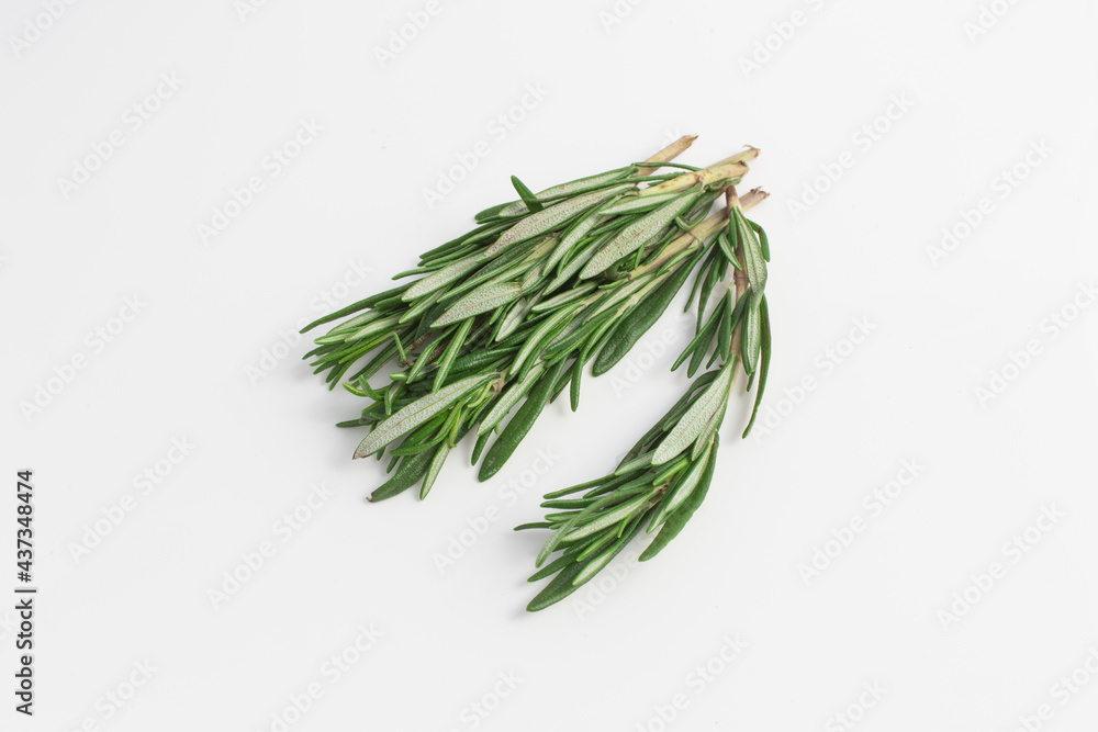 Fototapeta premium fresh rosemary on white background