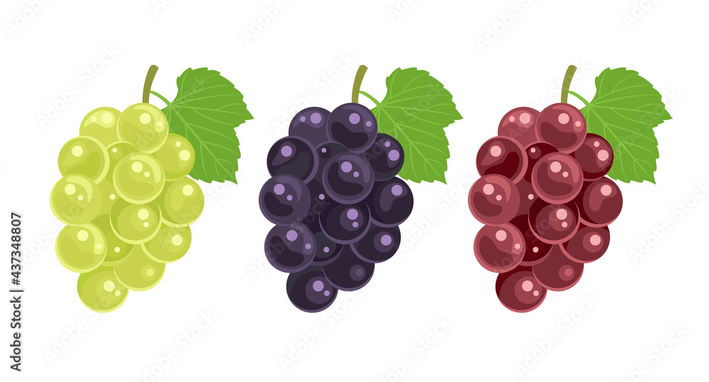 Cartoon white, red, black bunch of grapes and green leaves isolated. Vector simple flat illustration of fresh fruits, berry. Food icon. Cartoon white, red, black bunch of grapes and green leaves isolated. Vector simple flat illustration of fresh fruits, berry. Food icon.