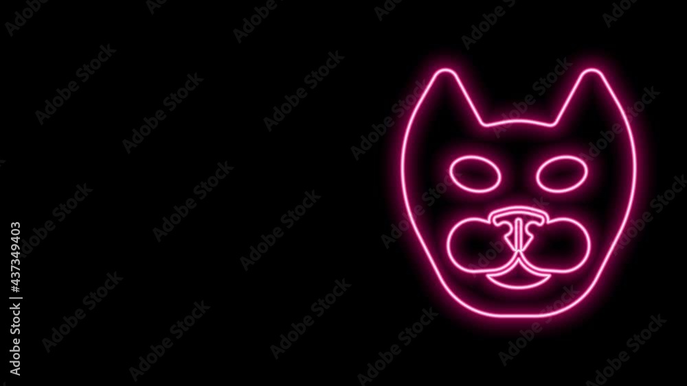 Glowing neon line Cat icon isolated on black background. 4K Video motion graphic animation Glowing neon line Cat icon isolated on black background. 4K Video motion graphic animation