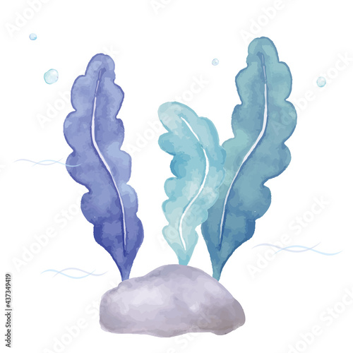 ワカメの水彩イラスト
