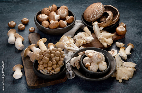 Variety of raw mushrooms on dark background. Vegan food cocnept.