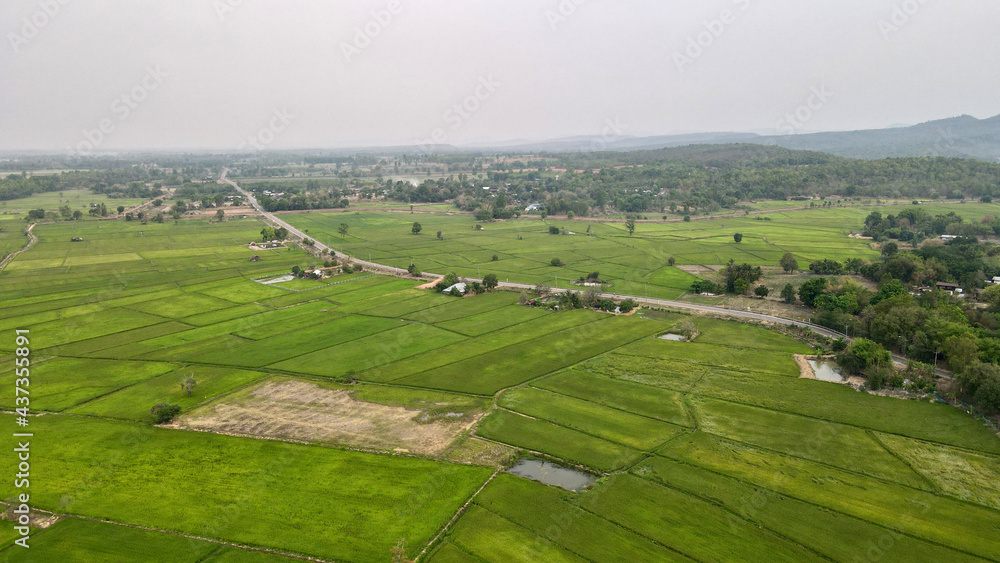 drone photo rice field with mountain landscape. drone photo rice field with mountain landscape.
