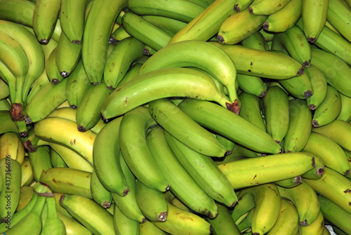 PLÁTANOS DE CANARIAS