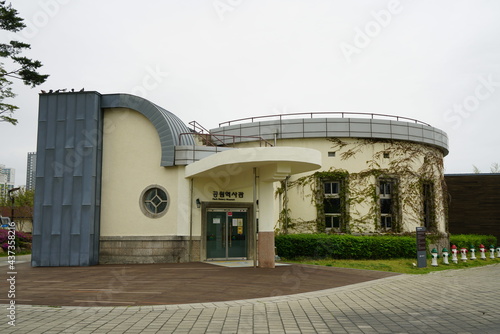 South Korea, Busan, City park, 한국, 부산, 부산시민공원, 봄꽃, 튤립, 진달래, 유채