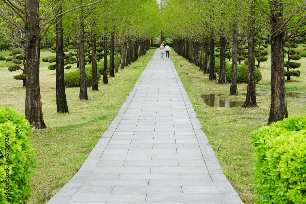 South Korea, Busan, UN memorial Park, 한국, 부산, UN기념공원