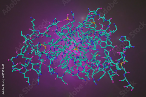 Molecular model of human interleukin-4, a cytokine that functions as a potent regulator of immunity secreted primarly by mast cells, Th2 cells, eosinophils and basophils. 3d illustration photo