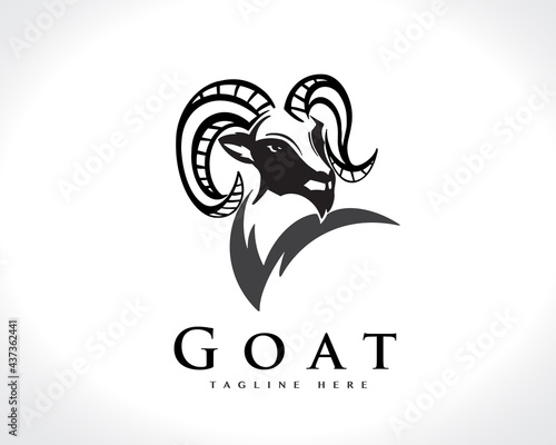 elegant head goat face drawing art logo design illustration