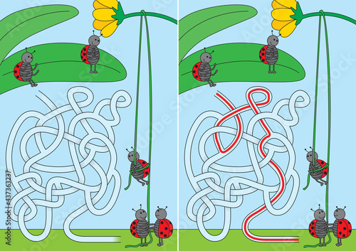 Ladybug maze