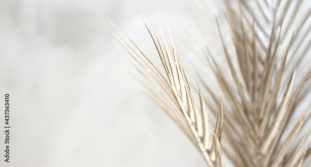 Fototapeta premium Delicate golden shimmering fern leaves on a light, blurred concrete background, branch on the side