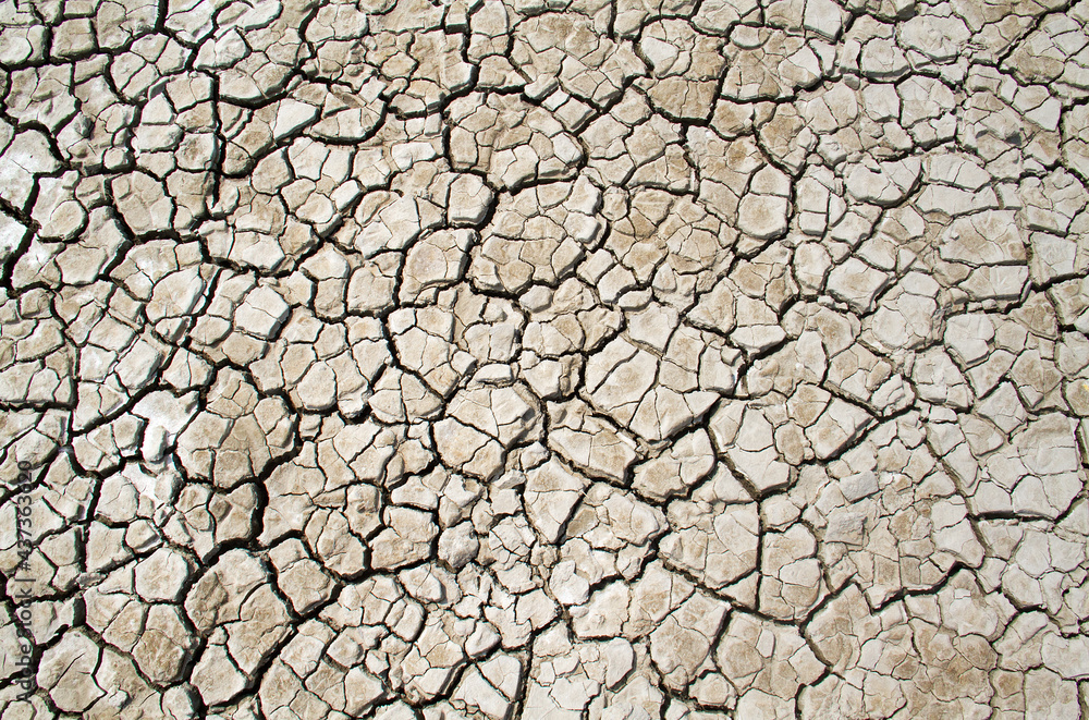 Pattern of cracks in dried clay in an estuary Pattern of cracks in dried clay in an estuary