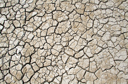 Pattern of cracks in dried clay in an estuary