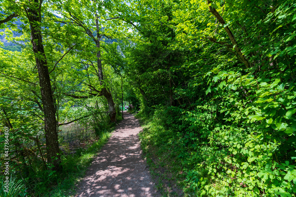 Wanderweg am Reintalersee bei Kramsach Wanderweg am Reintalersee bei Kramsach