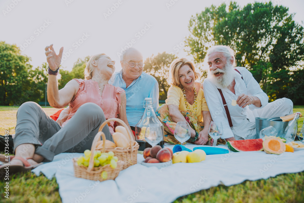 Fototapeta premium Group of seniors making a picnic at the park and having fun