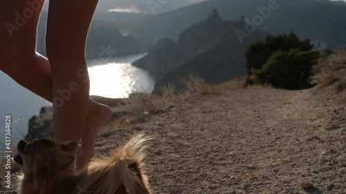 companion obedience dog pet training by woman owner on beautiful sea shore with mountain and hills on summer sunset