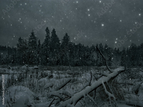 Dark winter forest landscape wint a snag on the foreground