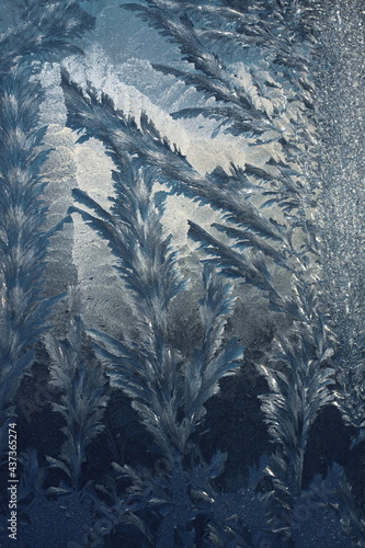 Beautiful blue ice flowers on the window in winter