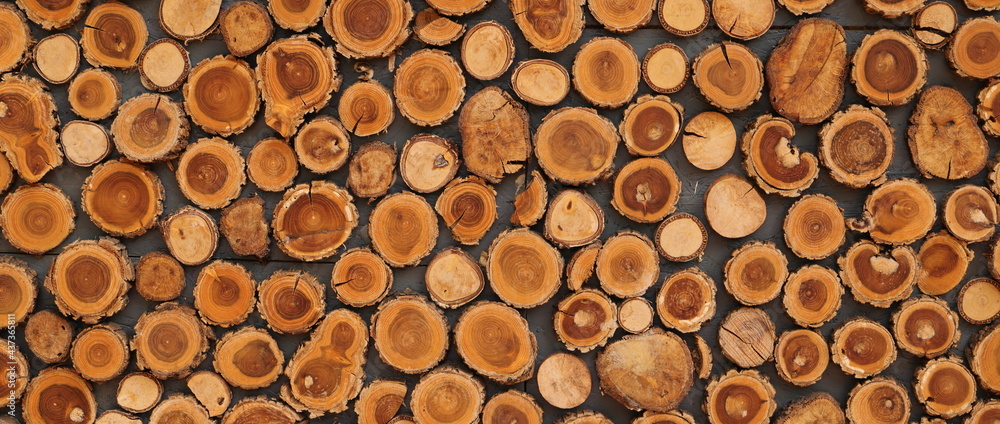 different round wooden disks as a background on a board different round wooden disks as a background on a board