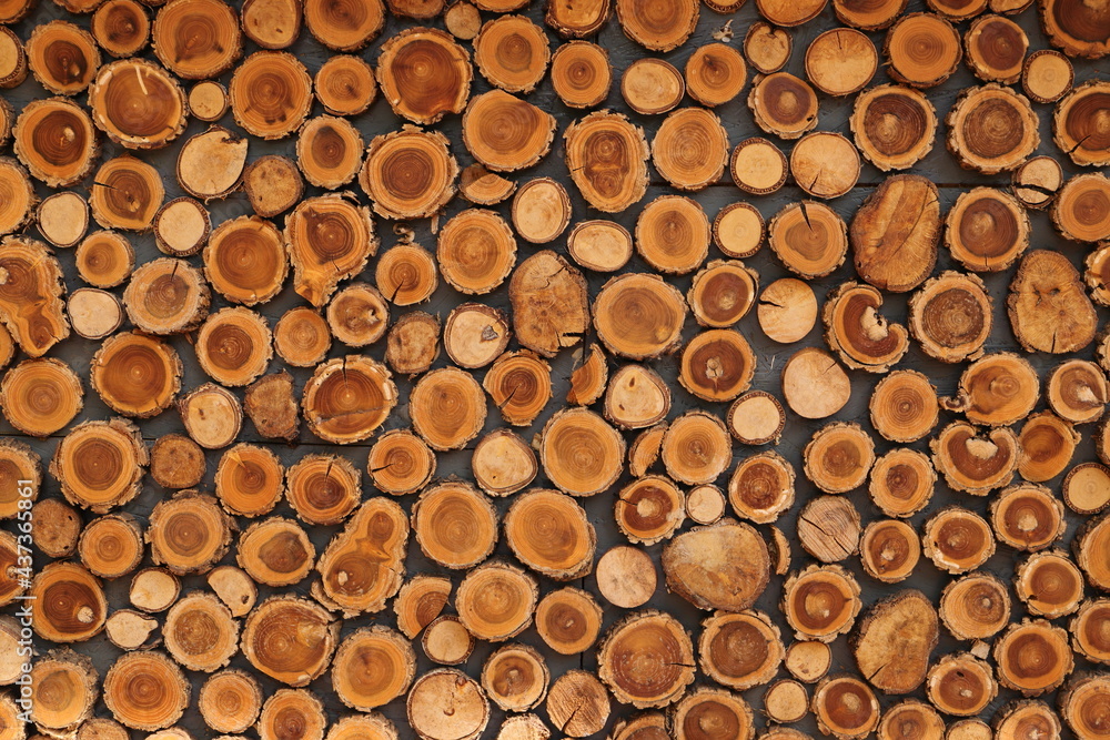 different round wooden disks as a background on a board different round wooden disks as a background on a board