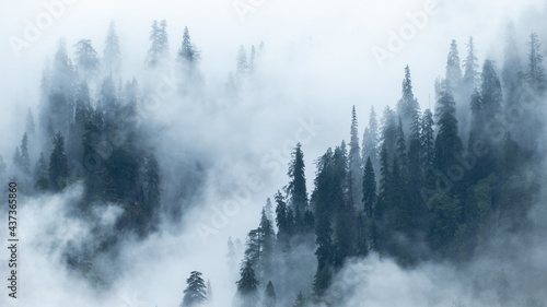 View of the mountains in Manali Himachal Pradesh in India covered by dense fog photo